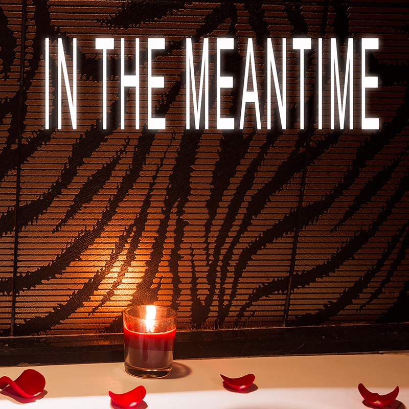 In The Meantime by LaRhonda N. Felton